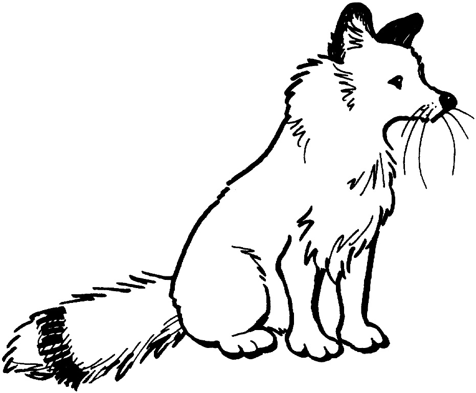 Fox Cartoon Drawing at GetDrawings | Free download