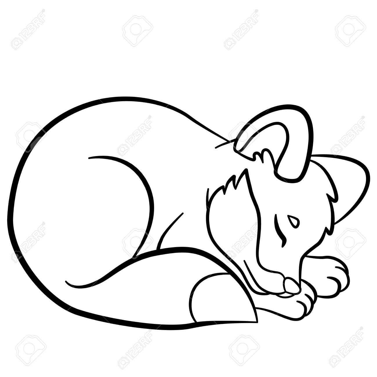1300x1300 Coloring Pages. Wild Animals. Little Cute Baby Fox Sleeps. Royalty