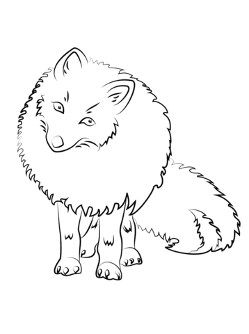 358x480 Cute Arctic Fox Coloring Page Free Printable Coloring Pages