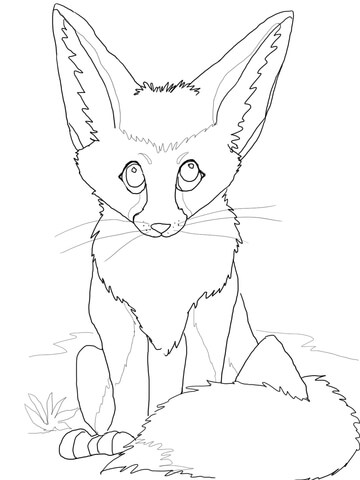 360x480 Cute Fennec Fox Coloring Page Free Printable Coloring Pages