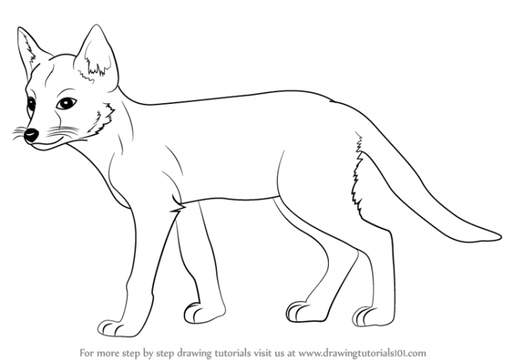 750x531 Drawing Easy Fox Drawing Step By Step Also Fox Drawing Easy Step