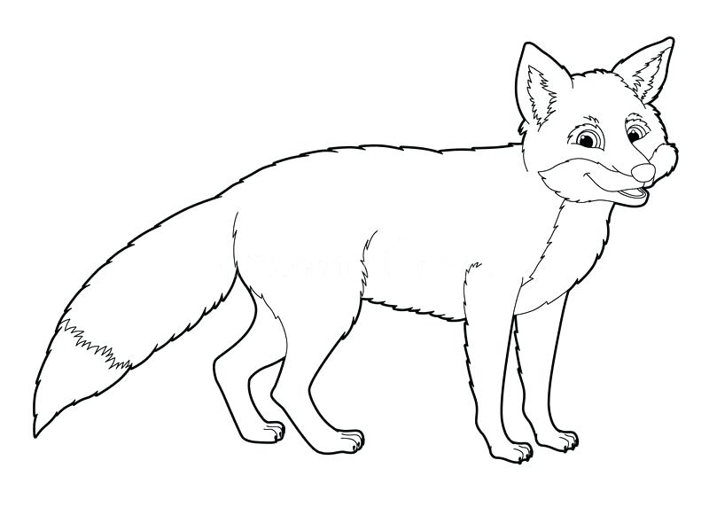 Fox Cute Drawing at GetDrawings | Free download