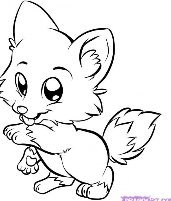 712x836 Cute Drawings Of Animals