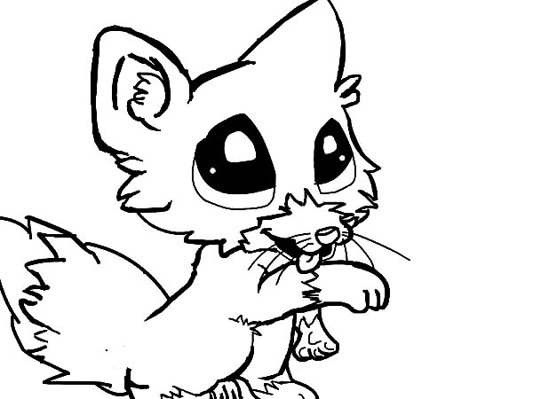 600x450 Fox Drawing Coloring Page