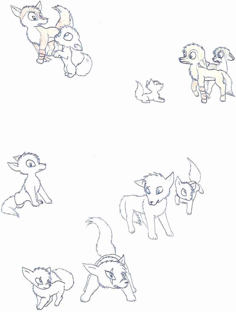 778x1026 Wolf And Fox Drawings By Spitfiresonice