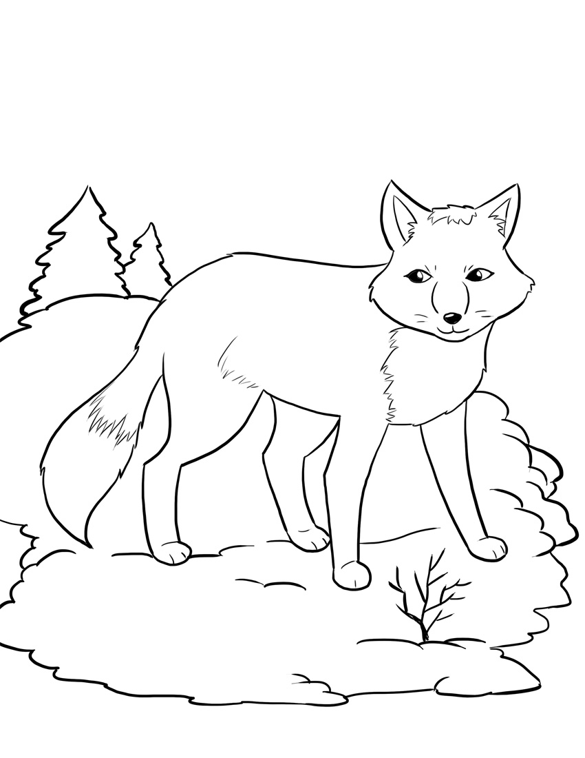 850x1100 Fox Drawing Coloring Page