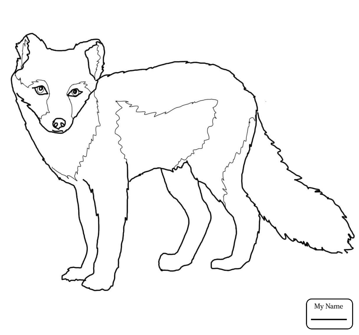 1224x1142 Mammals Arctic Fox Jump Arctic Fox Coloring Pages For Kids