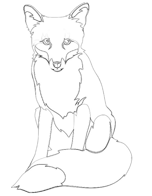 638x825 Fox