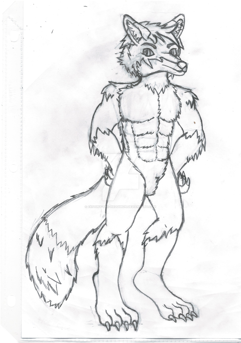 1024x1459 Gift To Ravynblaine Male Fox Furry Rough Sketch By Destiny