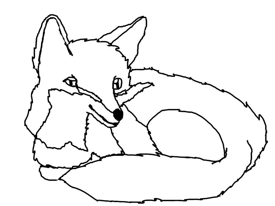 900x675 Red Fox Line Art Outline Gimp By Hinatafox790