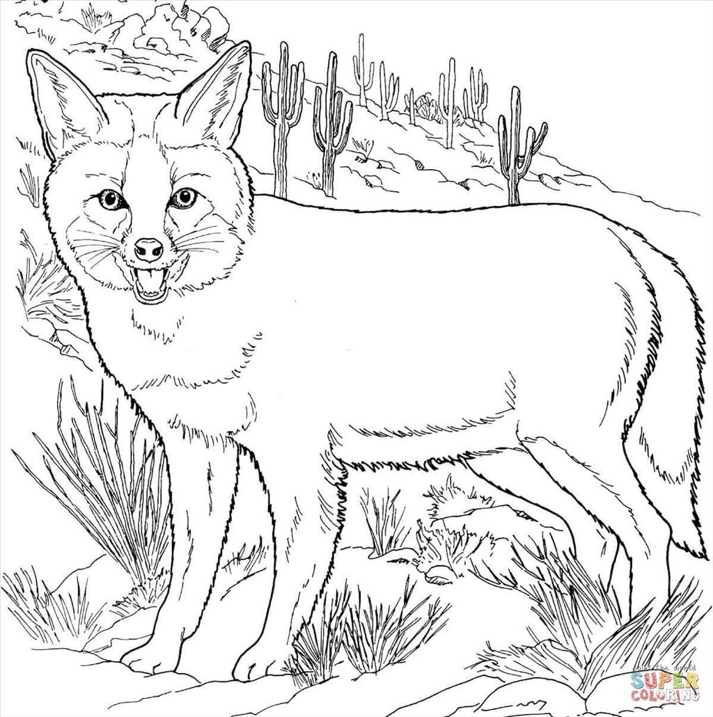1024x1030 Good Fox Coloring Pages Wallpaper Unknown Resolutions High