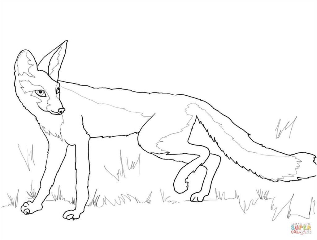1024x778 Top Fox Coloring Pages Snapshot Unknown Resolutions High
