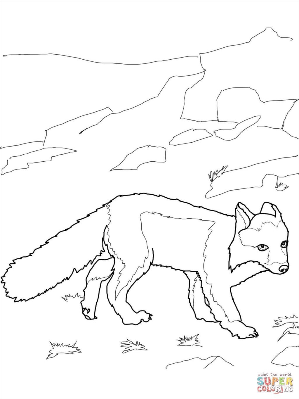 1024x1365 Best Fox Coloring Pages Photograph Unknown Resolutions High