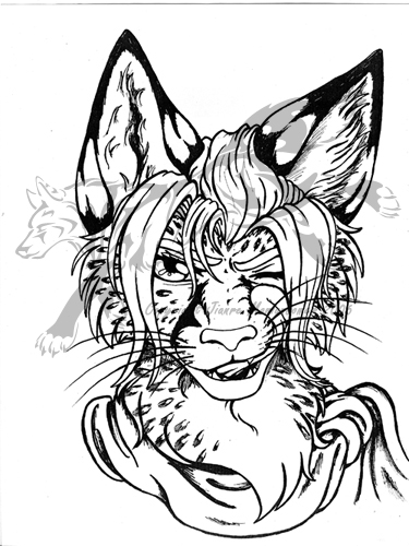 375x500 Cheetah Fox Face By Jianre M