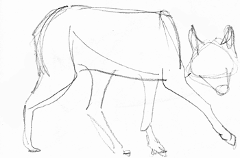 350x231 Wolfwalking3.gif