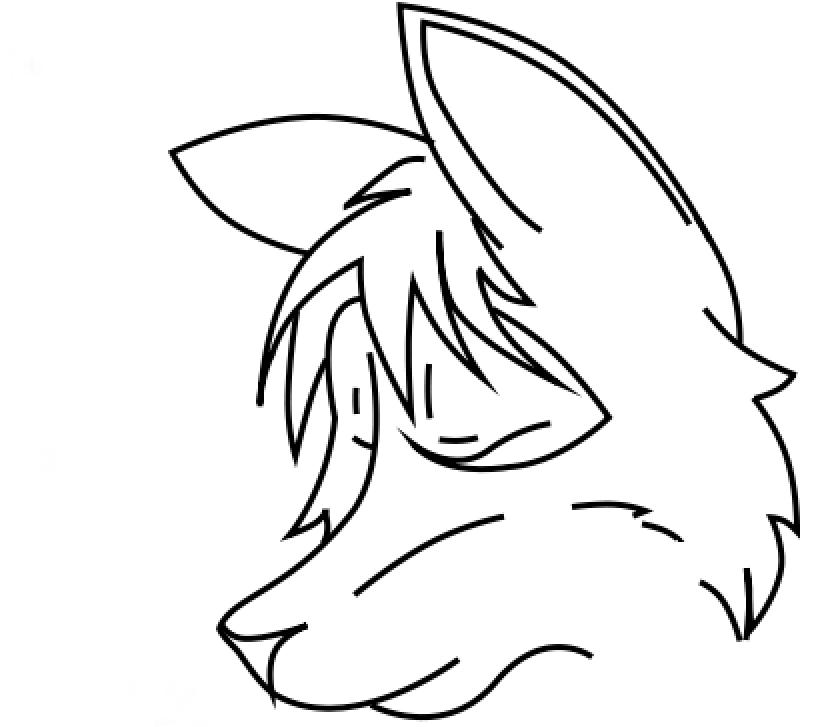 837x727 Fox Head Drawing Images