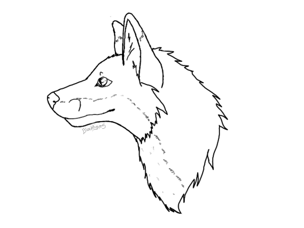 600x450 Fox Head For Ixgal97 By Blacktiger5