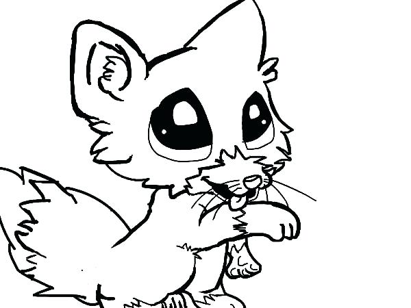 600x450 Fresh Fox Coloring Pages Or Cute Baby Fox Coloring Page 46 Fox