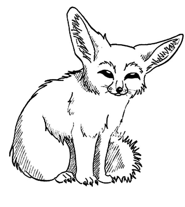 600x671 Desert Fox Picture Coloring Pages