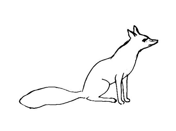 570x425 Fox Coloring Pages