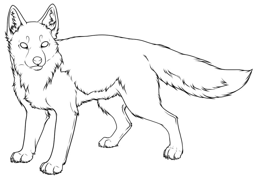 900x628 Swift Fox Lineart A By Pantheracorax