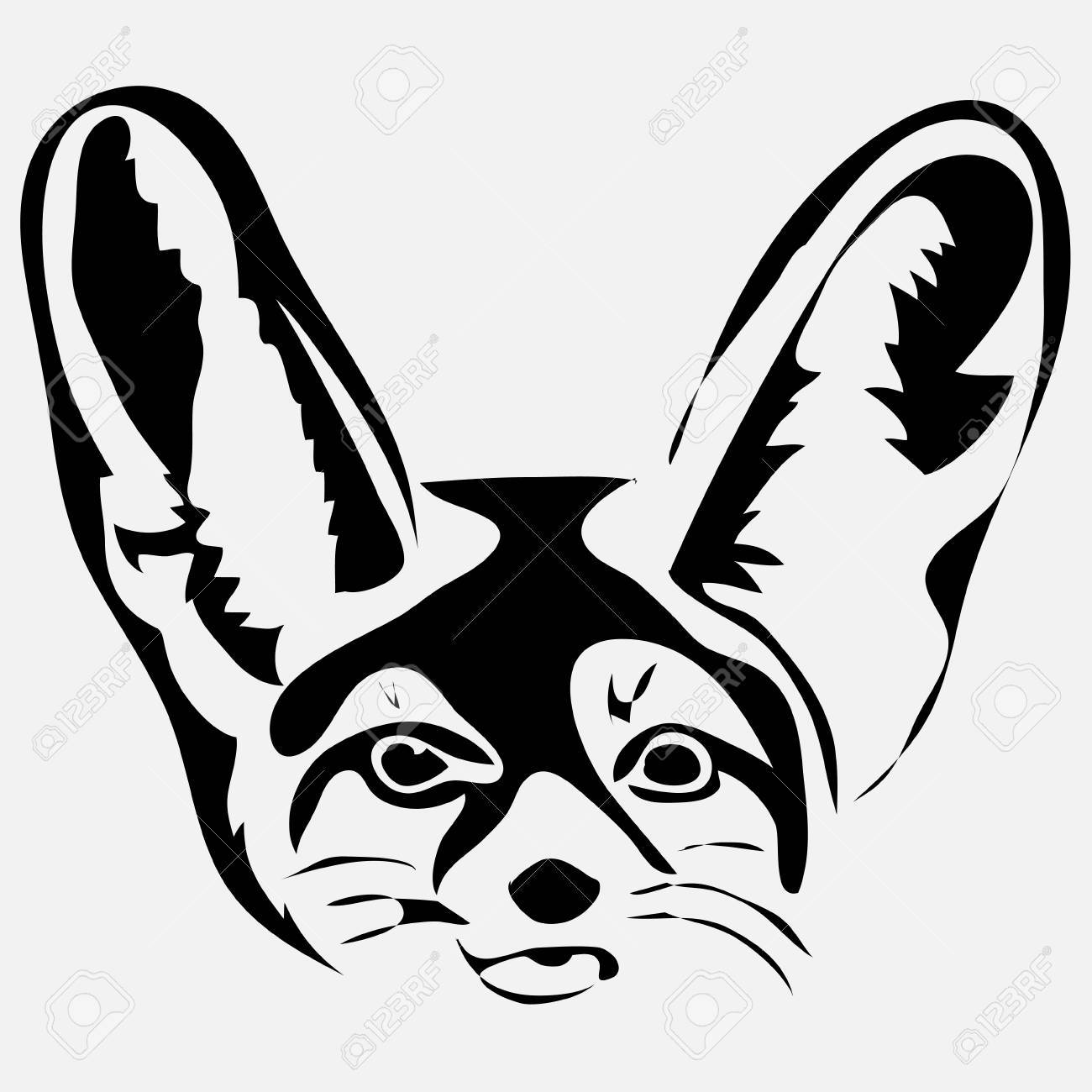 1300x1300 Outline Little Fox Fennec Vector Illustration. Royalty Free