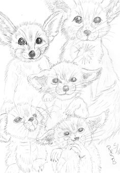 236x340 Fox Eyes My Original Art Work