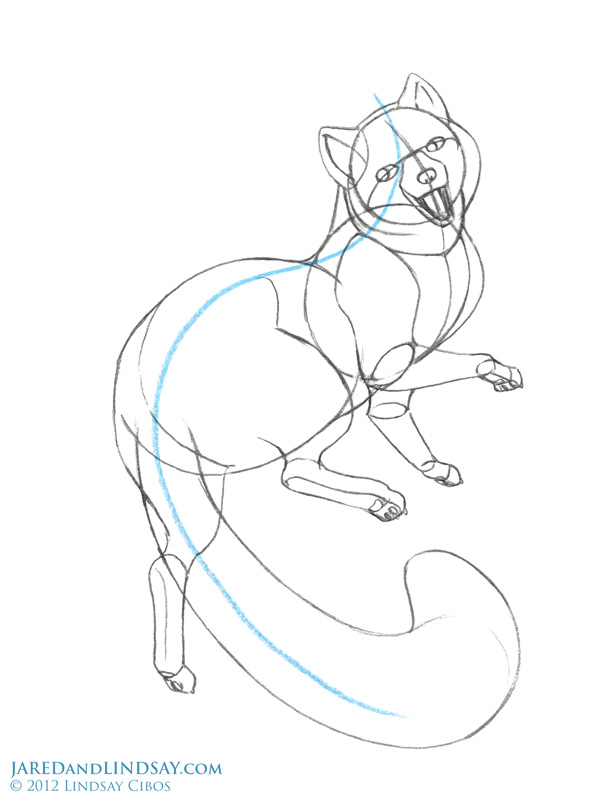 598x800 How To Draw An Arctic Fox Last Of The Polar Bears