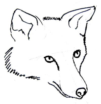 400x408 Simple Fox Head Drawing
