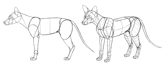700x289 How To Draw A Fox Step By Step