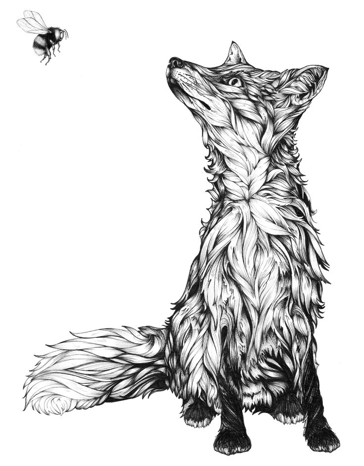 736x942 The Best Fox Tattoo Design Ideas On Fox Design
