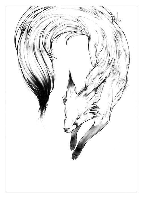 Fox Tattoo Drawing at GetDrawings | Free download