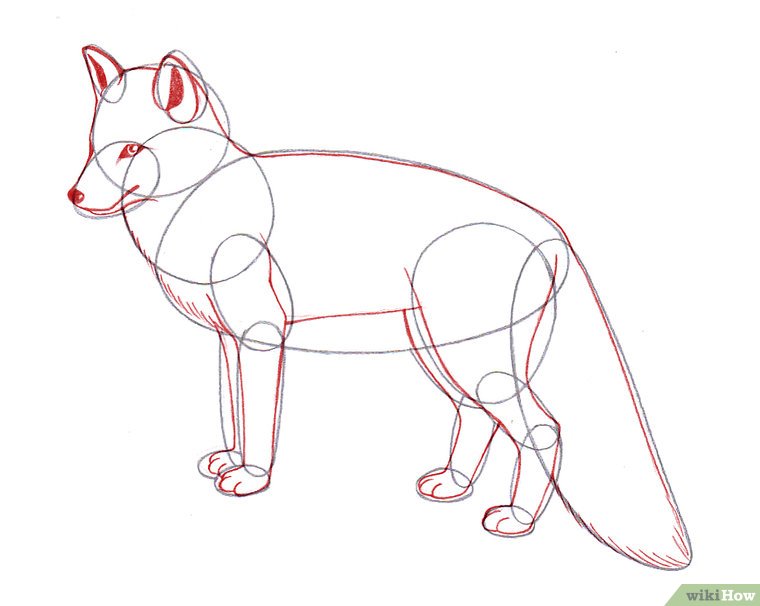760x606 Draw A Fox Foxes, Sketches And Animal