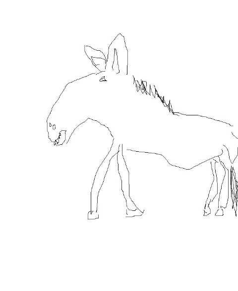 480x585 Drawn Fox Horrible