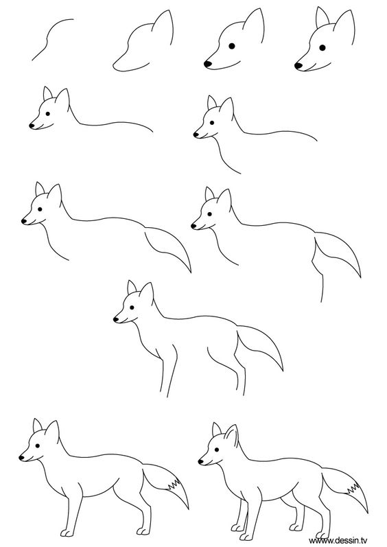 564x797 How To Draw Step By Step Learn How To Draw A Fox With Simple