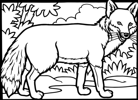 480x350 Red Fox Coloring Page Free Printable Coloring Pages