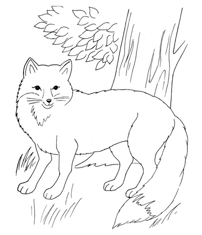 412x480 Red Fox In The Forest Coloring Page Free Printable Coloring Pages