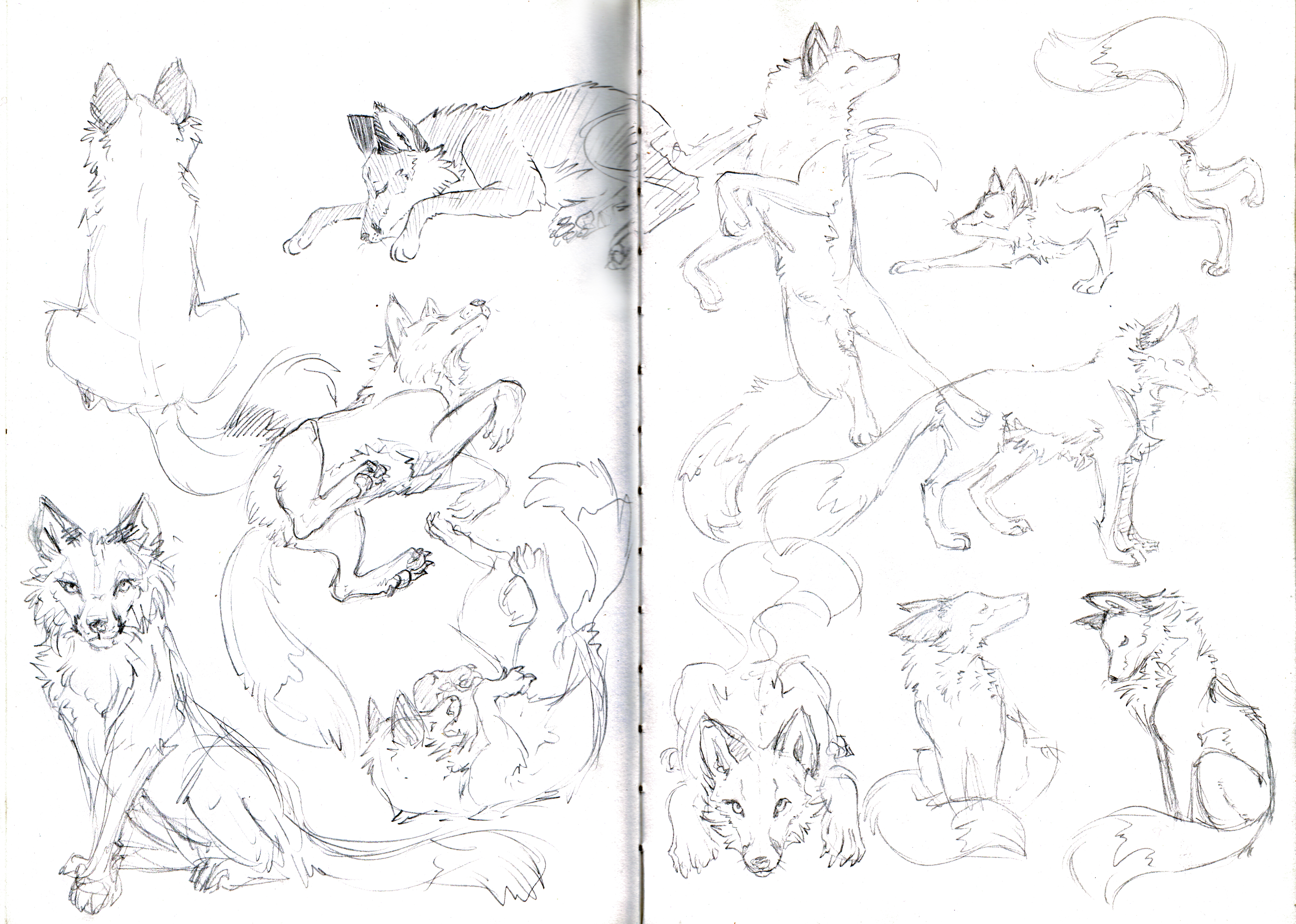 4888x3487 Charlie Johnson Illustration Personal Drawings And Degree Work