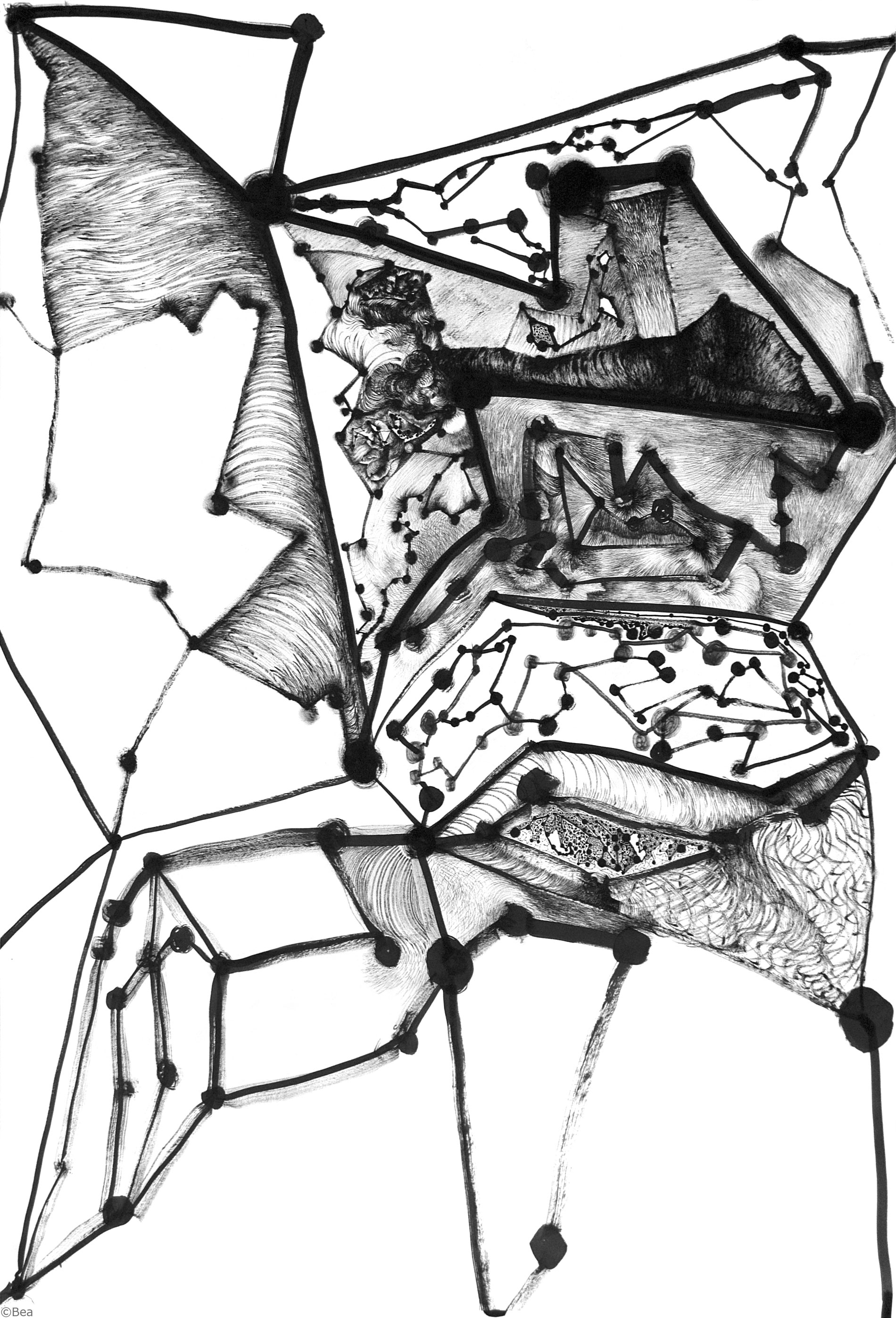 1900x2795 Fractal I Constellations Project