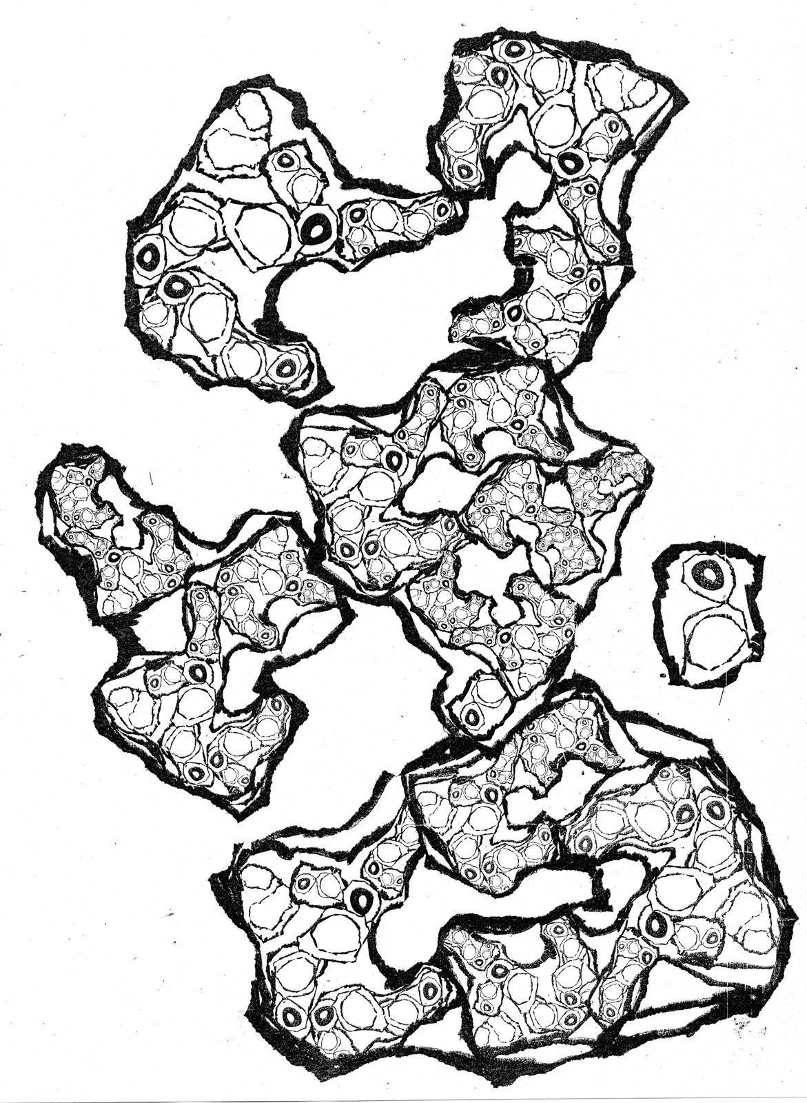 1171x1600 Fractal Photocopy