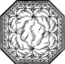 229x223 Fractal Geometry Panorama