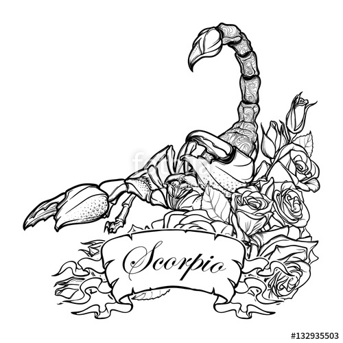 500x500 Zodiac Sign Scorpio. Detailed Realistic Scorpio In A Decorative