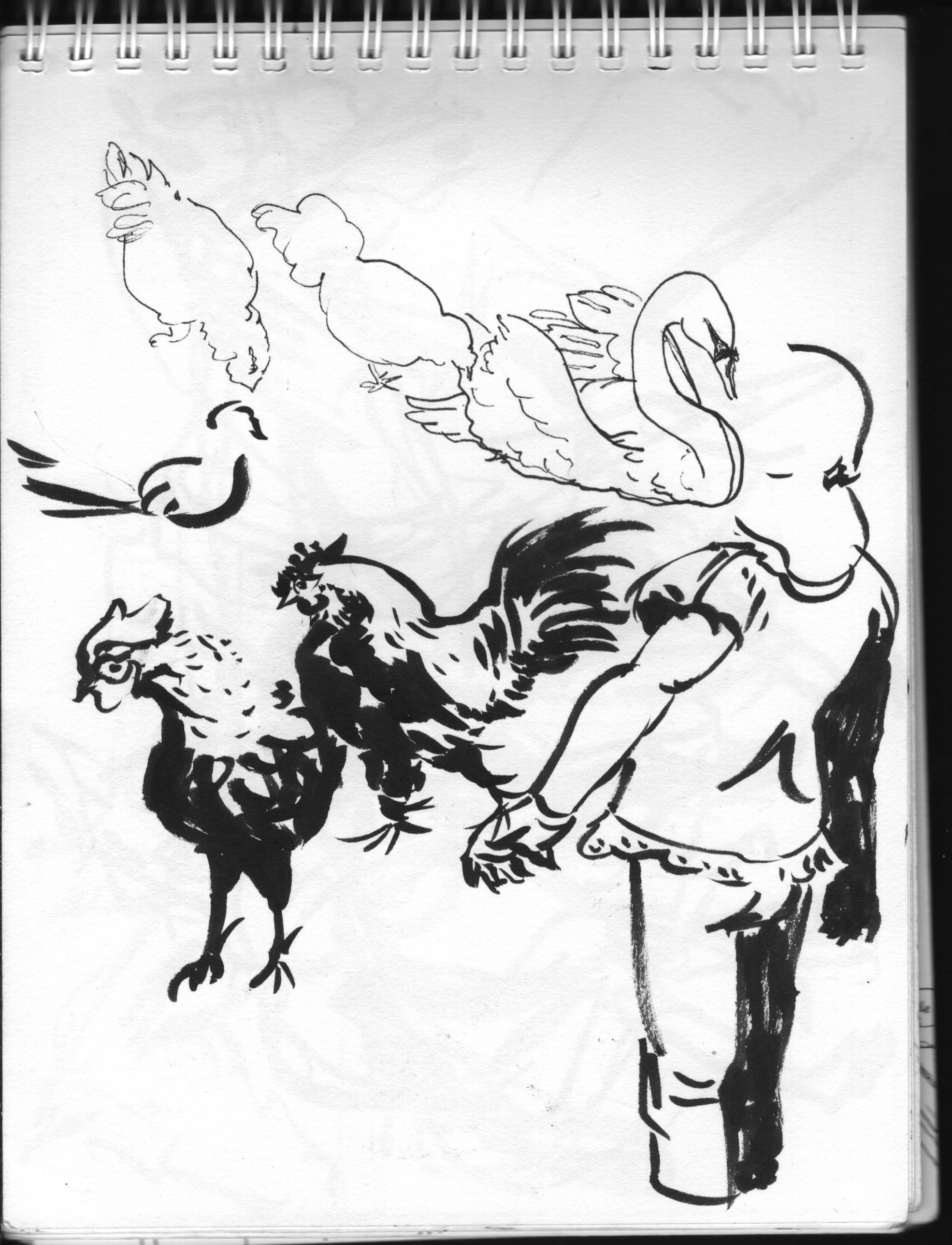 1970x2576 Marion Vitus Illustration, Comic Art, Photo