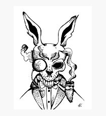 210x230 Frank The Rabbit Wall Art Redbubble