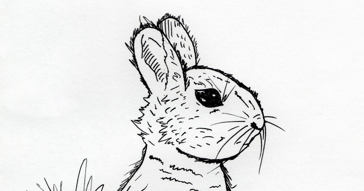 1200x630 Jared Unzipped Draw Something Bunny Rabbit