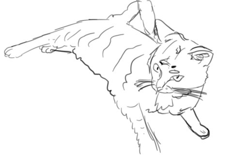 512x320 Everest Wings Of Fire Amino