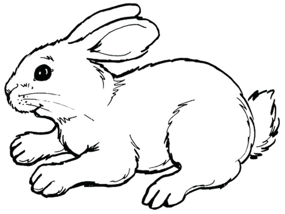 948x711 Easter Bunny Coloring Pages That You Can Print The Is Brown Page