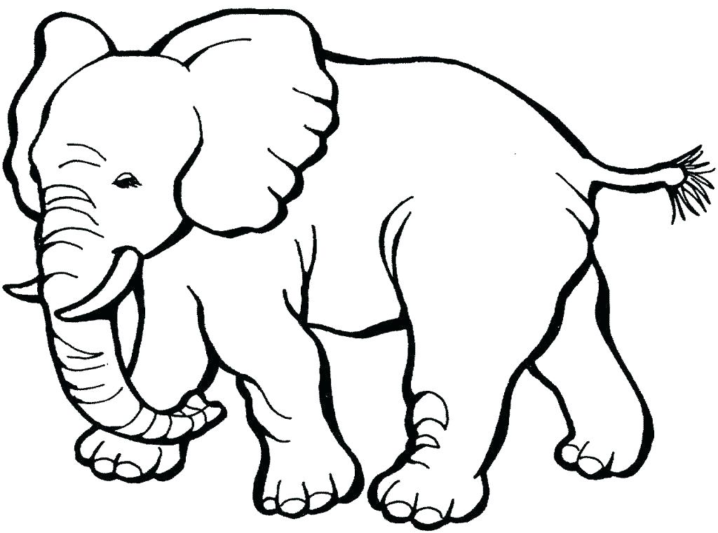 1024x761 Baby Animal Coloring Pages Free Ingenious Cute Baby Animal