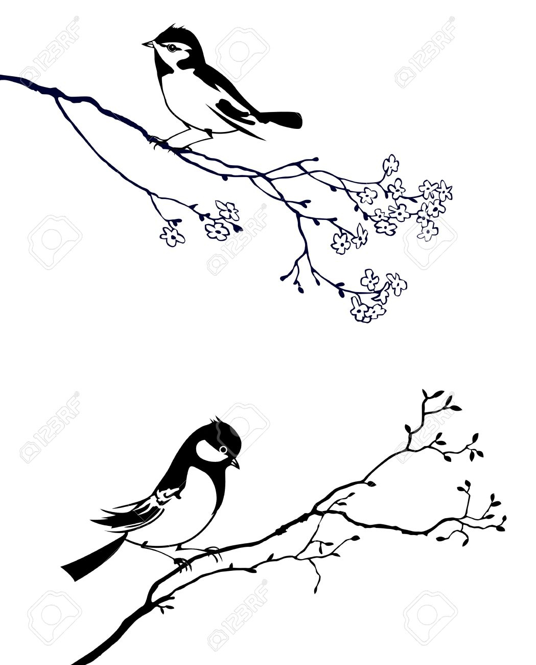 1049x1300 Bird On Tree Drawing Silhouette Of The Bird On Branch Tree Royalty