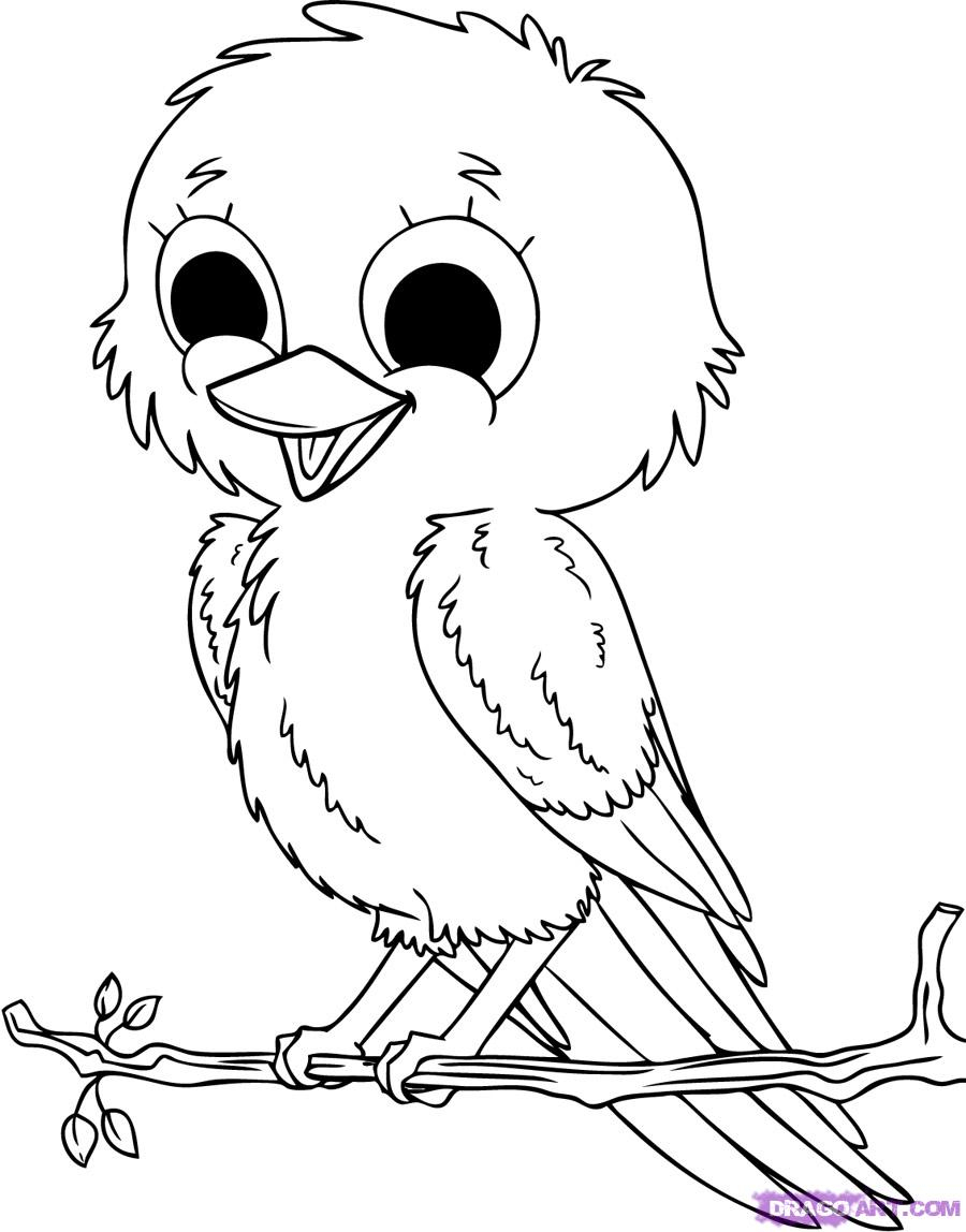 900x1148 Cartoon Bird Drawing